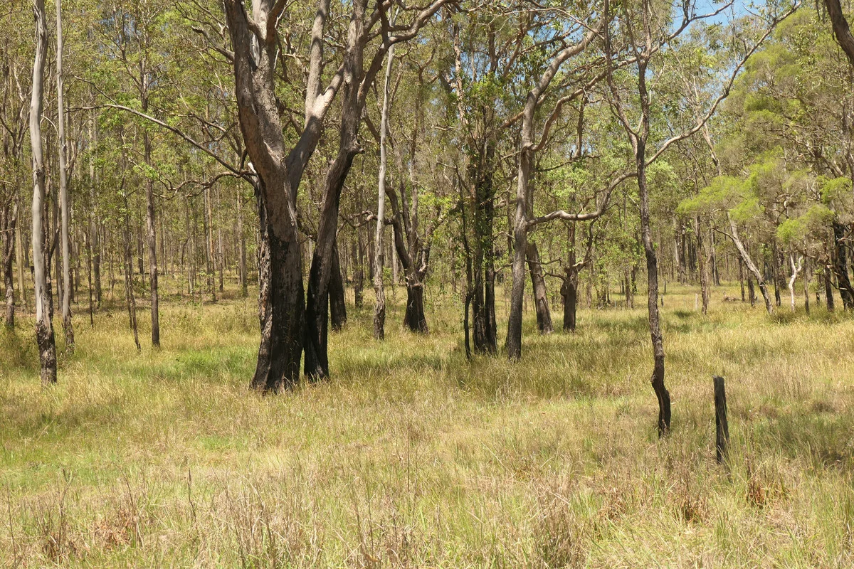 Additional image 3 of 4 Kimbin Pikapene Road, Tabulam NSW 2469