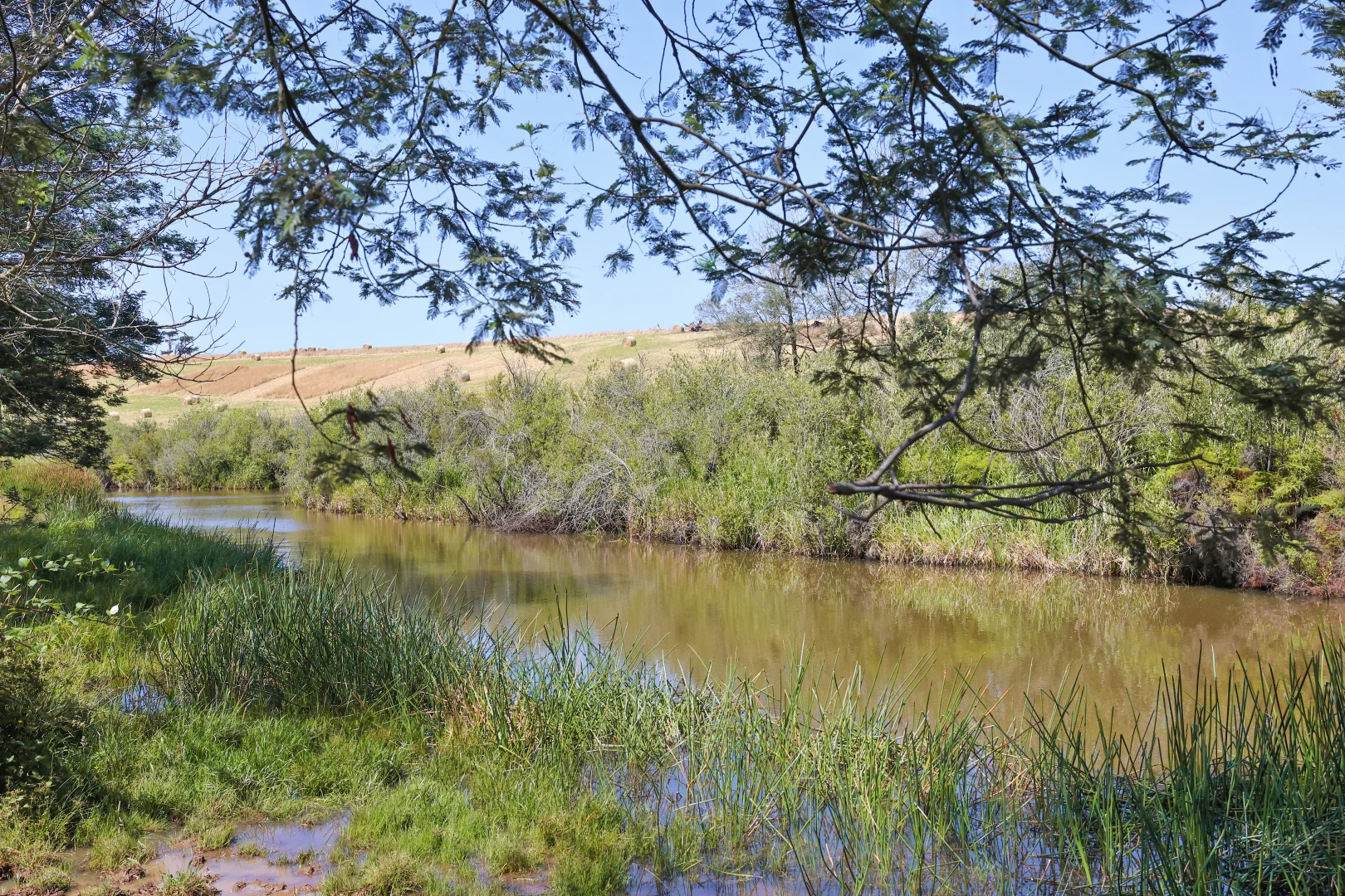 Additional image 2 of Lot 2/107 Cooks Road, Thorpdale VIC 3835