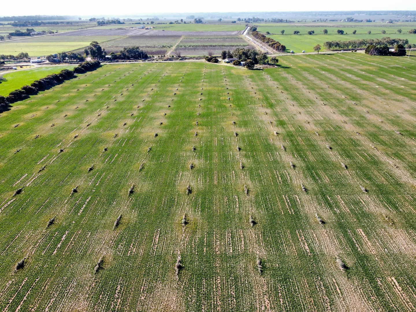 Additional image 3 of 145 Steicke Road, Beverford VIC 3590