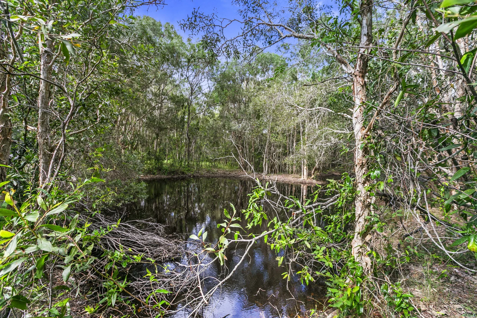 Additional image 16 of 66 Wheeley Road, Booral QLD 4655