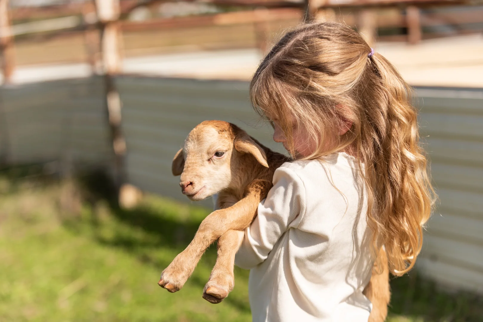 Additional image 4 of 42 White Box Place, Springvale NSW 2650