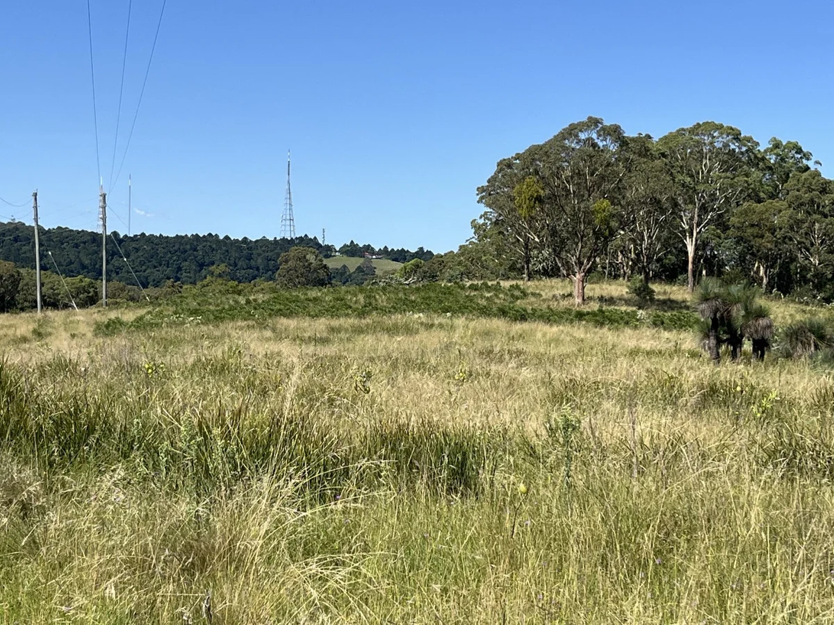 Additional image 5 of Lot 1 Dormans Gully, Bunya Mountains QLD 4405