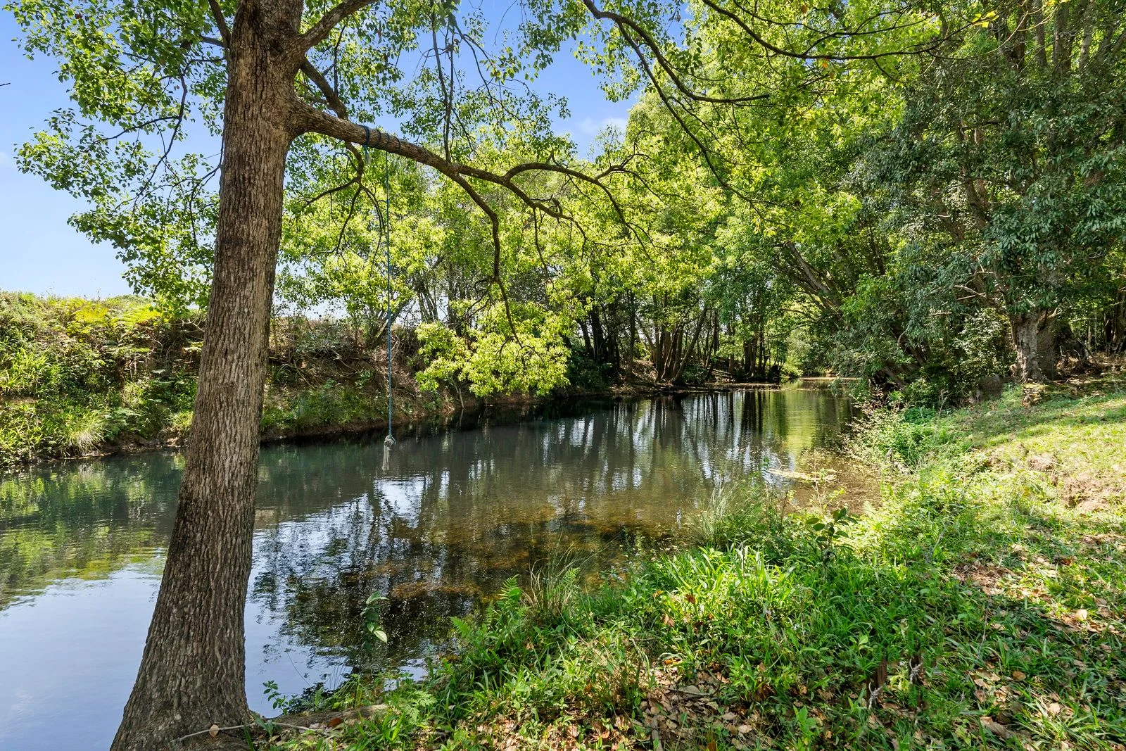 Additional image 3 of 981 Numinbah Road, Crystal Creek NSW 2484