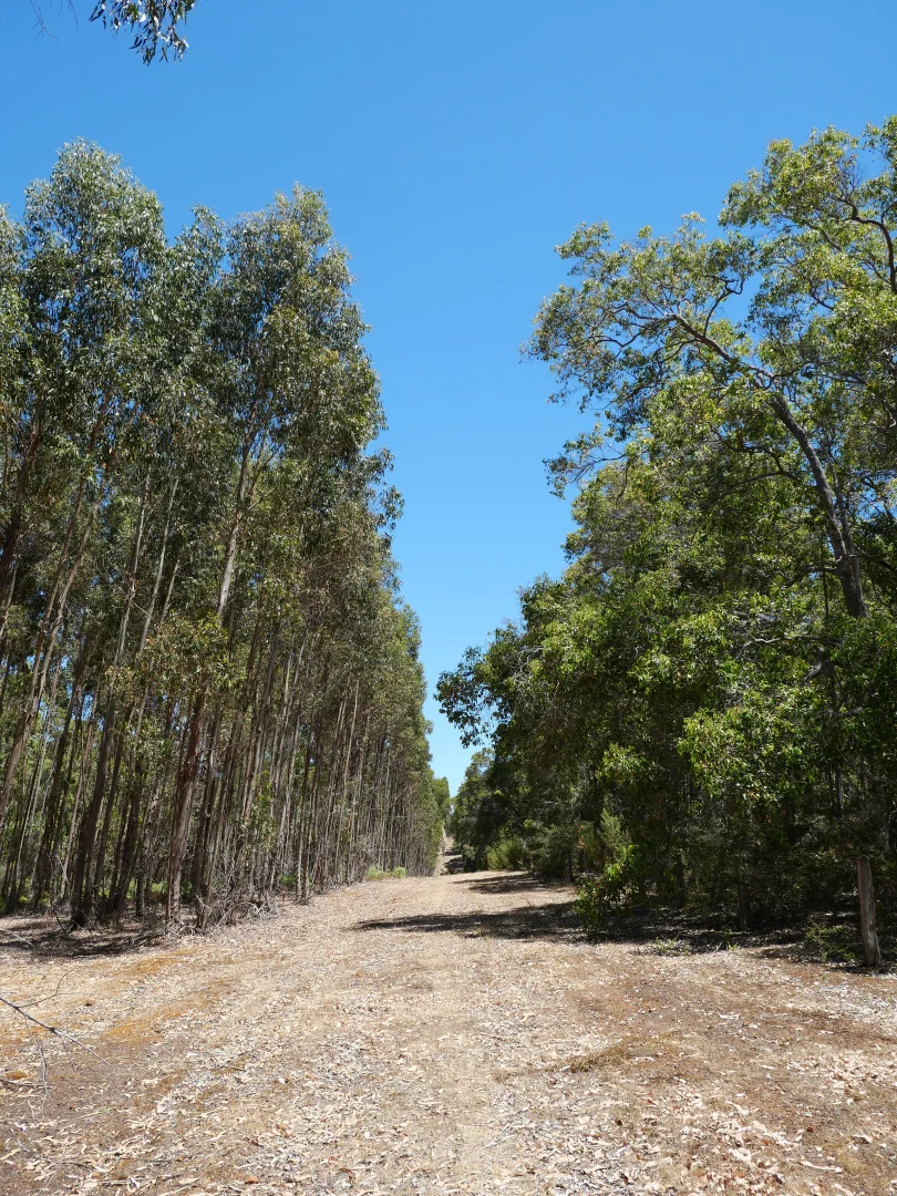 Additional image 10 of 61 Hayes Road, East Nannup WA 6275