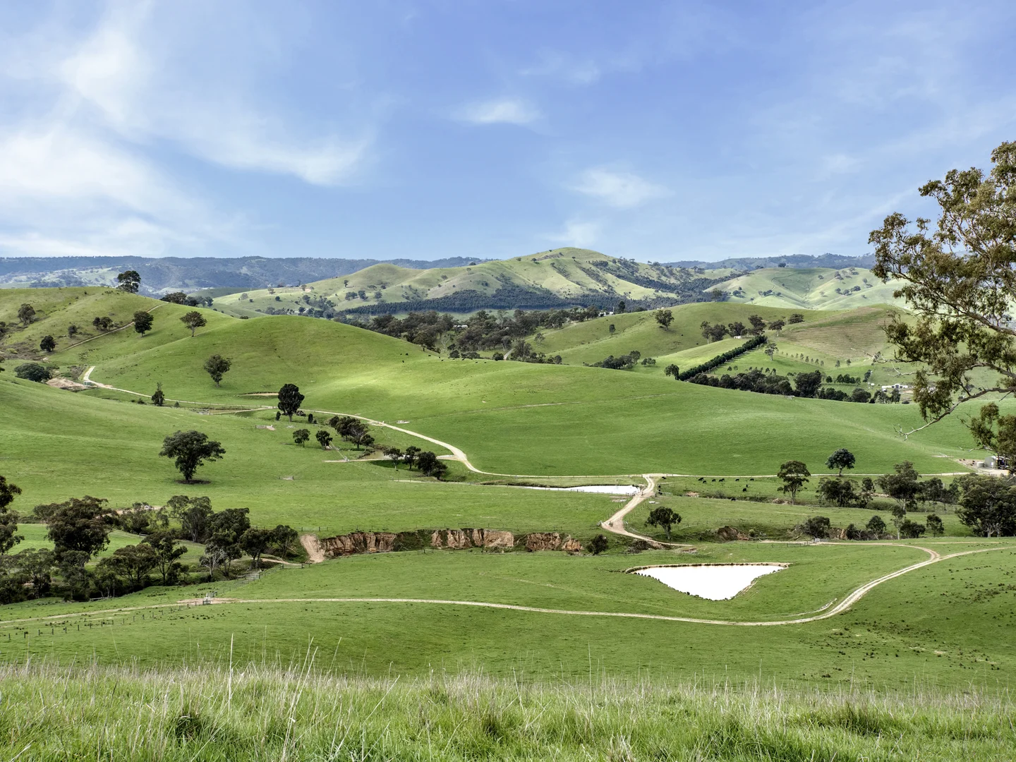 Additional image 3 of 146 Hobans Road, Alexandra VIC 3714