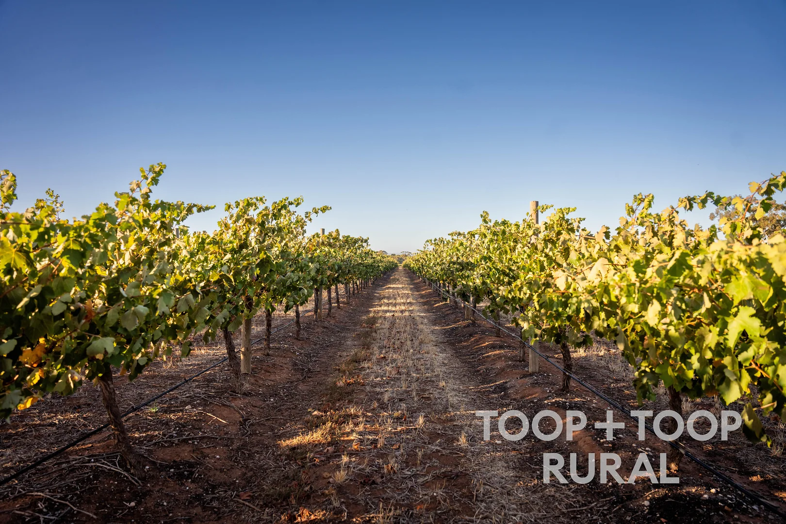 Additional image 23 of 1404 Research Road, Ebenezer SA 5355