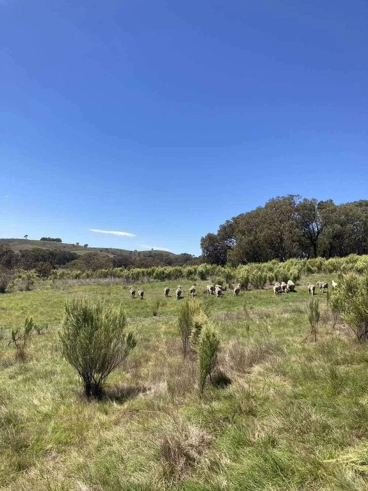 Additional image 28 of 2102 Kiowarrah Road, Bevendale NSW 2581