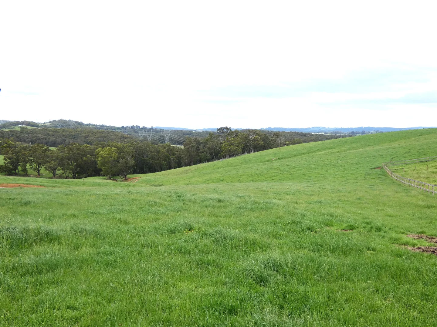 Additional image 17 of 125 Sheepstation Creek Road, Yellingbo VIC 3139