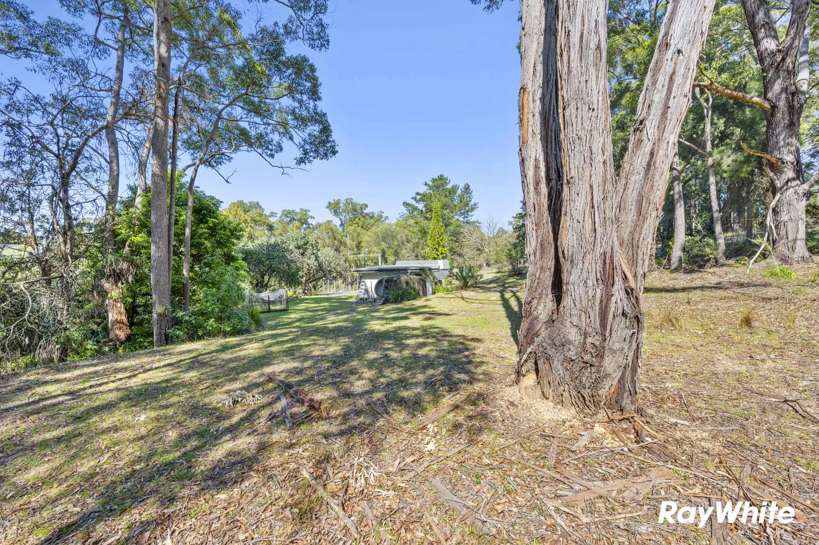 Additional image 16 of 49 Spring Place, Bingie NSW 2537