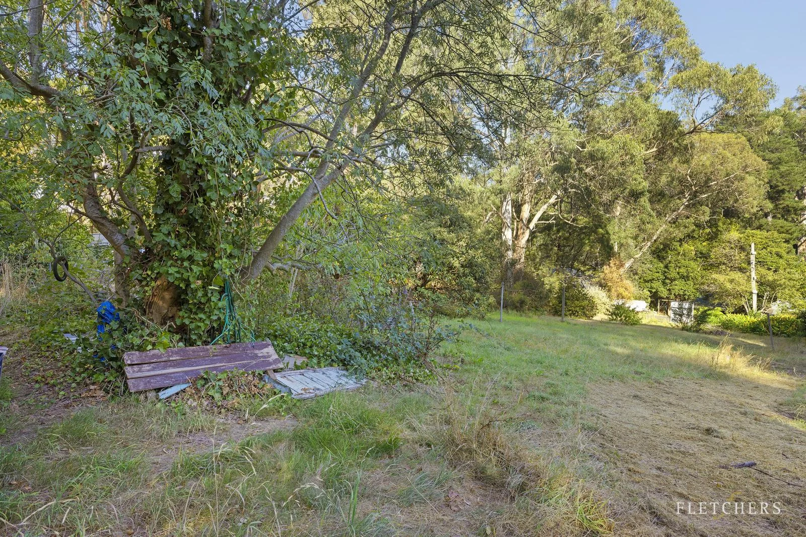 Additional image 4 of 16 Gordon Avenue, Tecoma VIC 3160