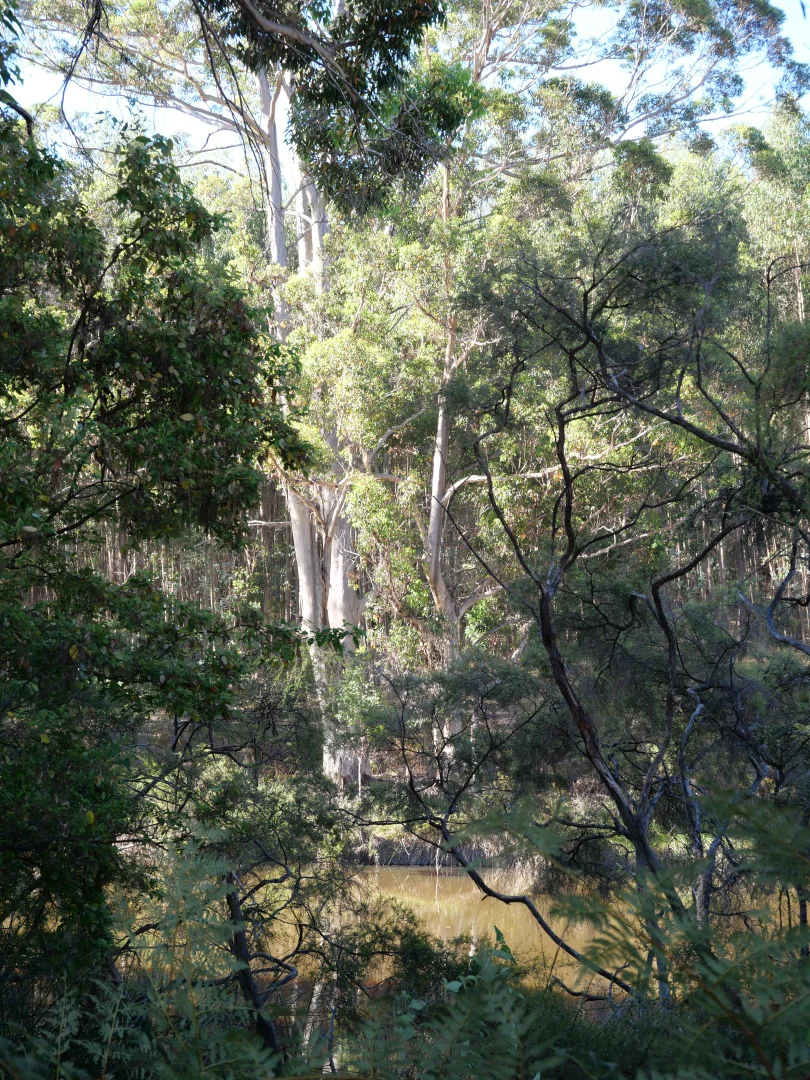 Additional image 3 of 61 Hayes Road, East Nannup WA 6275