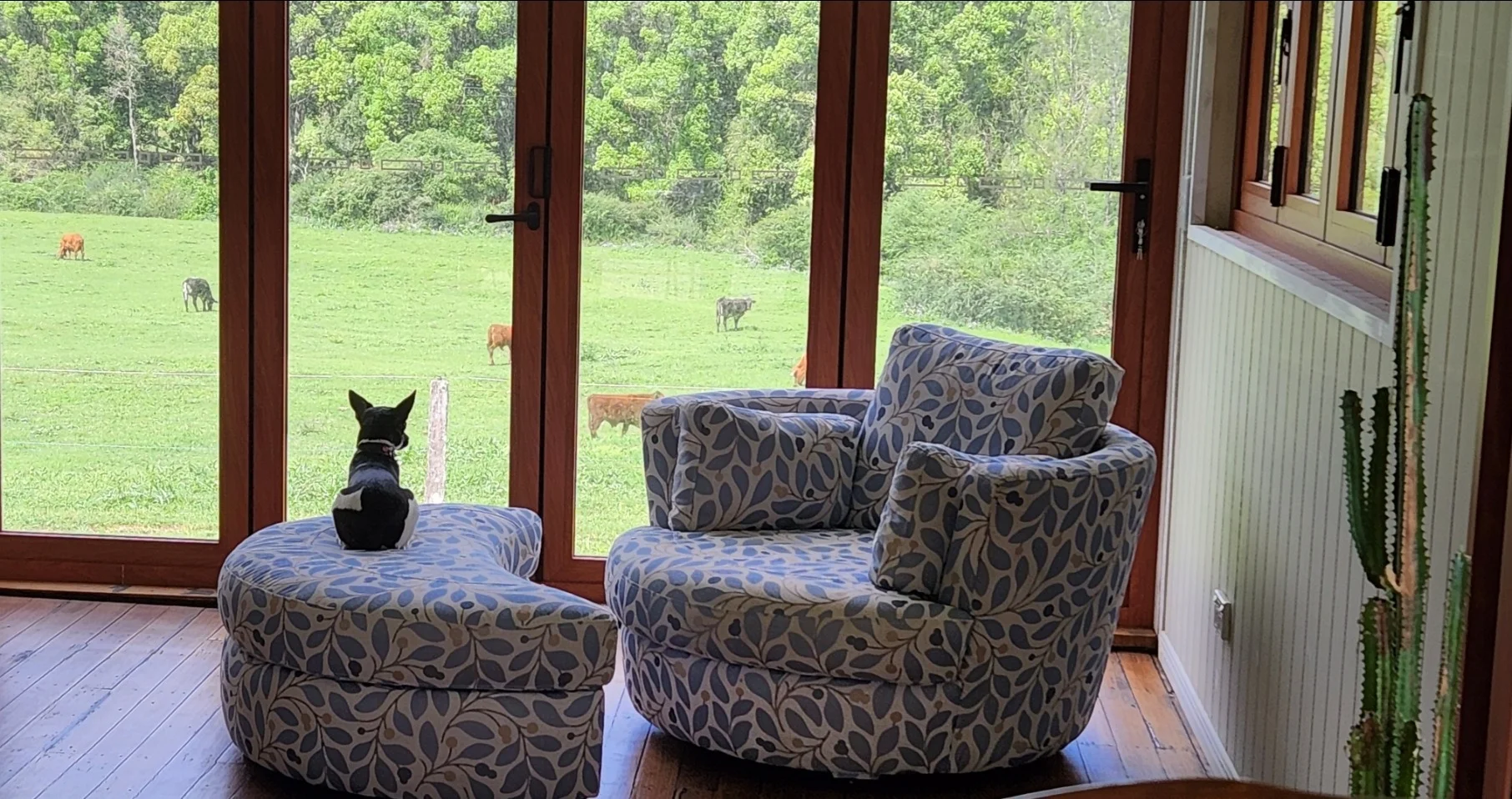 Additional image 17 of 30 Larkins Road, Tyalgum NSW 2484