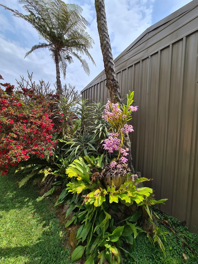 Additional image 34 of 5 Whian Whian Road, Dunoon NSW 2480