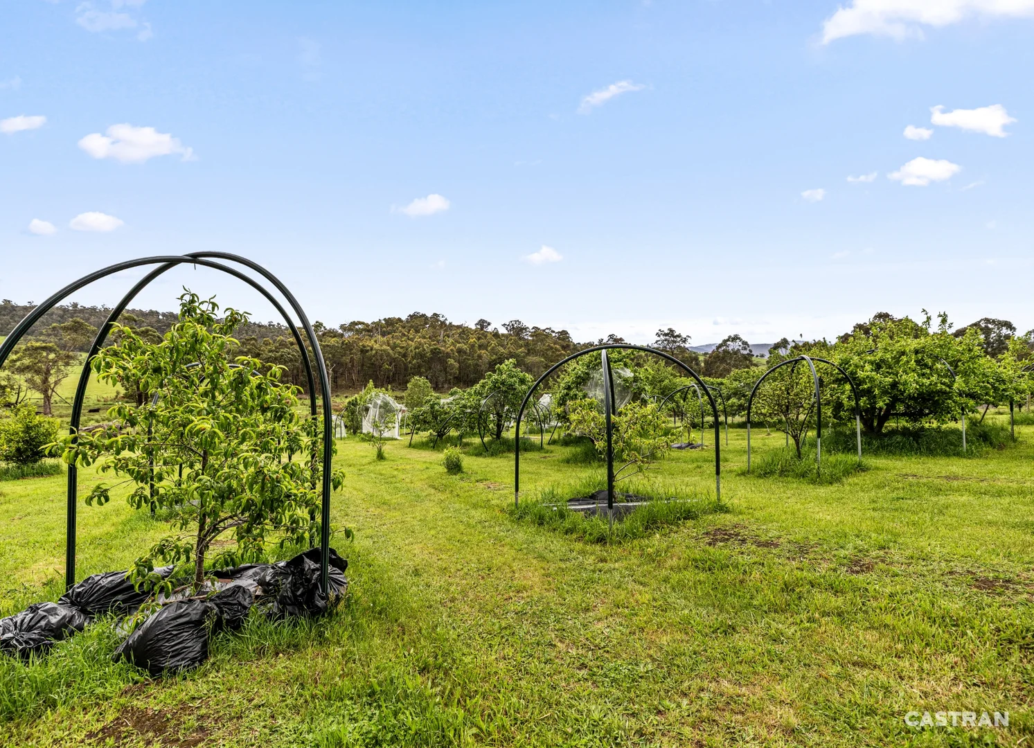 Additional image 8 of 120 Wills Road, Dixons Creek VIC 3775