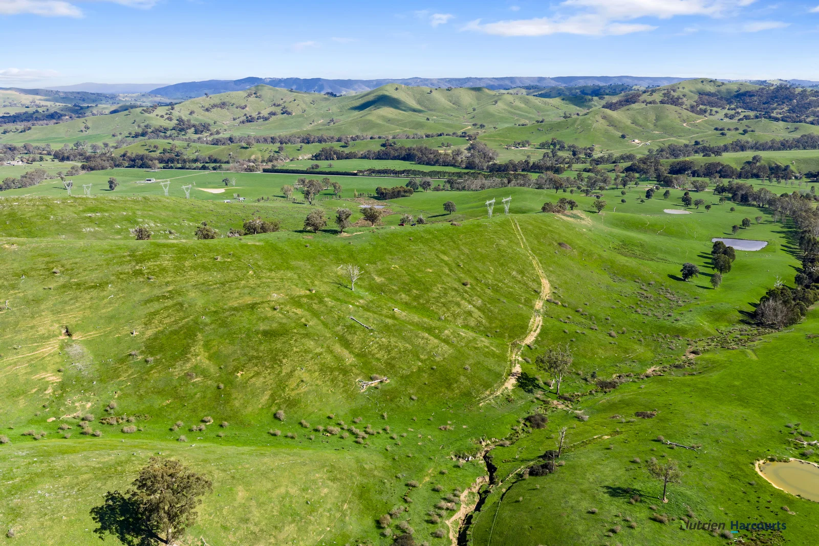 Additional image 3 of 53 Halls Outlet Road, Alexandra VIC 3714