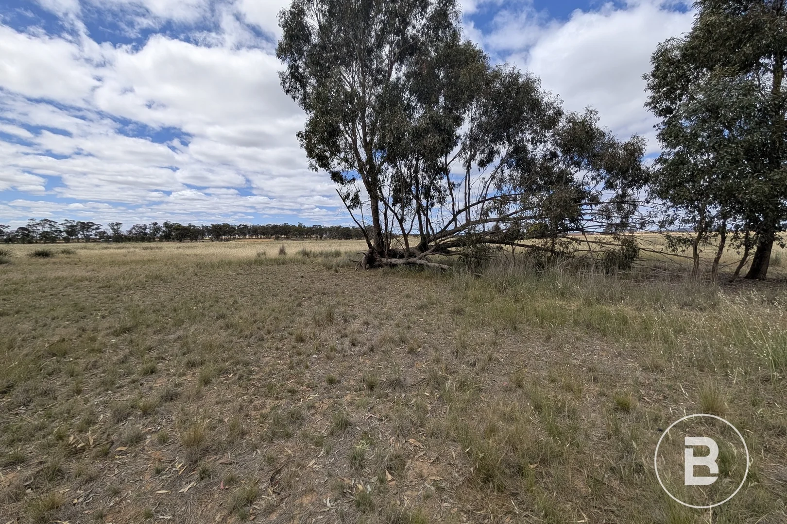 Additional image 7 of 5a Logan-Bealiba Road, Cochranes Creek VIC 3475