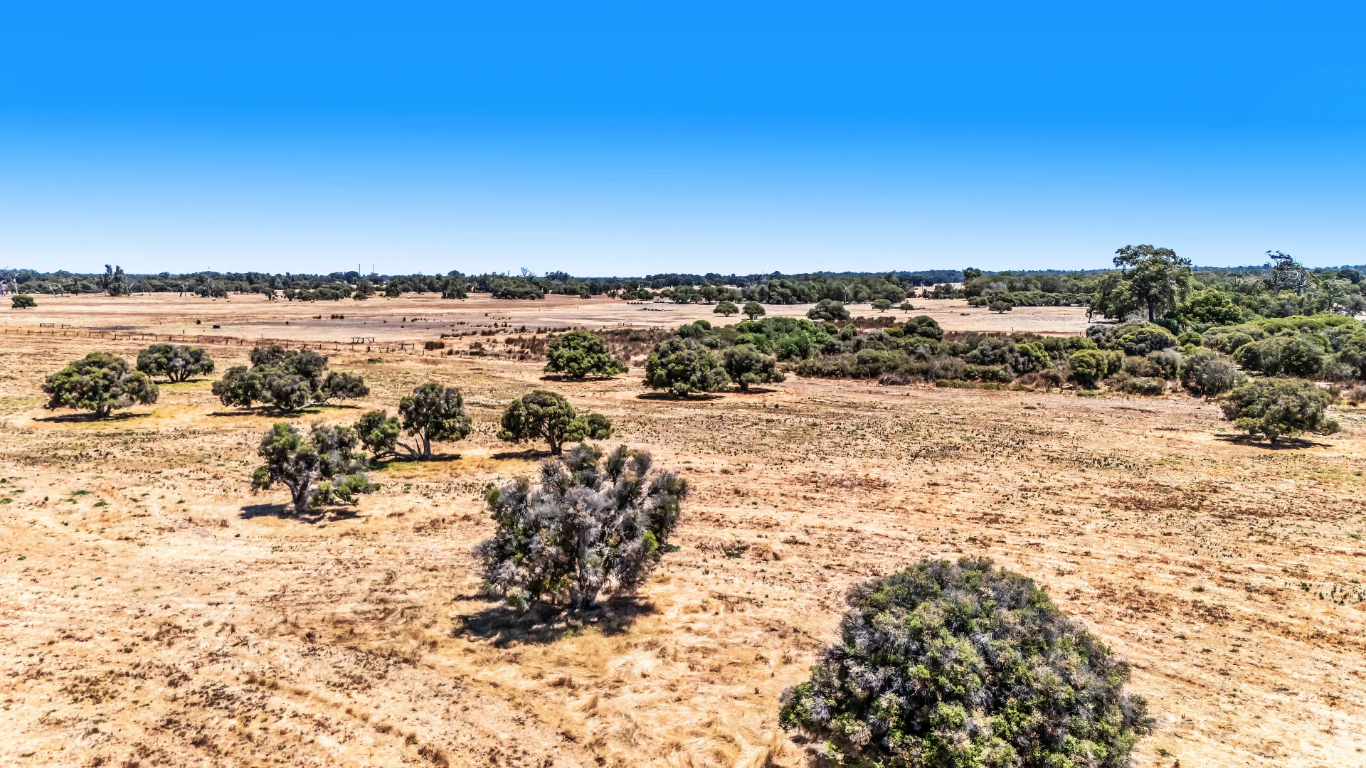 Additional image 25 of Lot 1 Jilley Road, Boyanup WA 6237