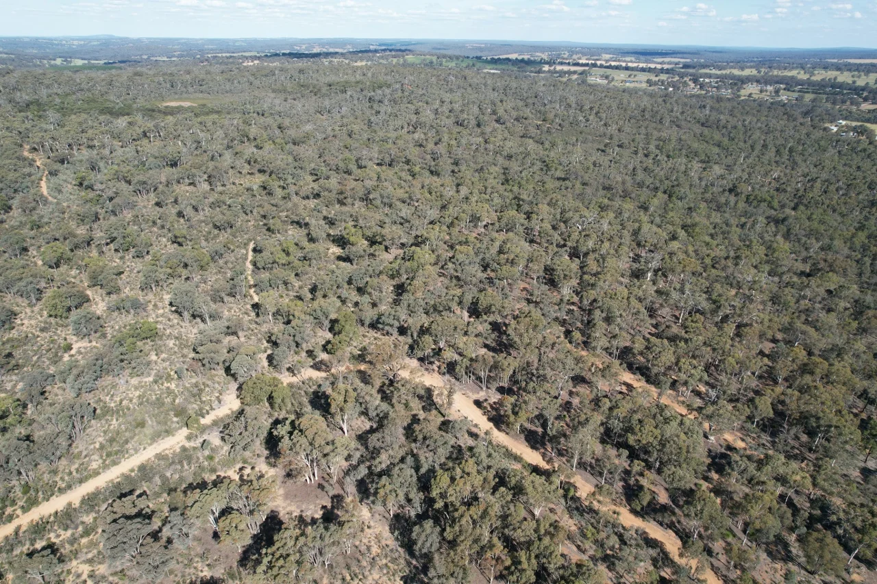 Additional image 10 of 200 Gumley Road, Bakers Hill WA 6562