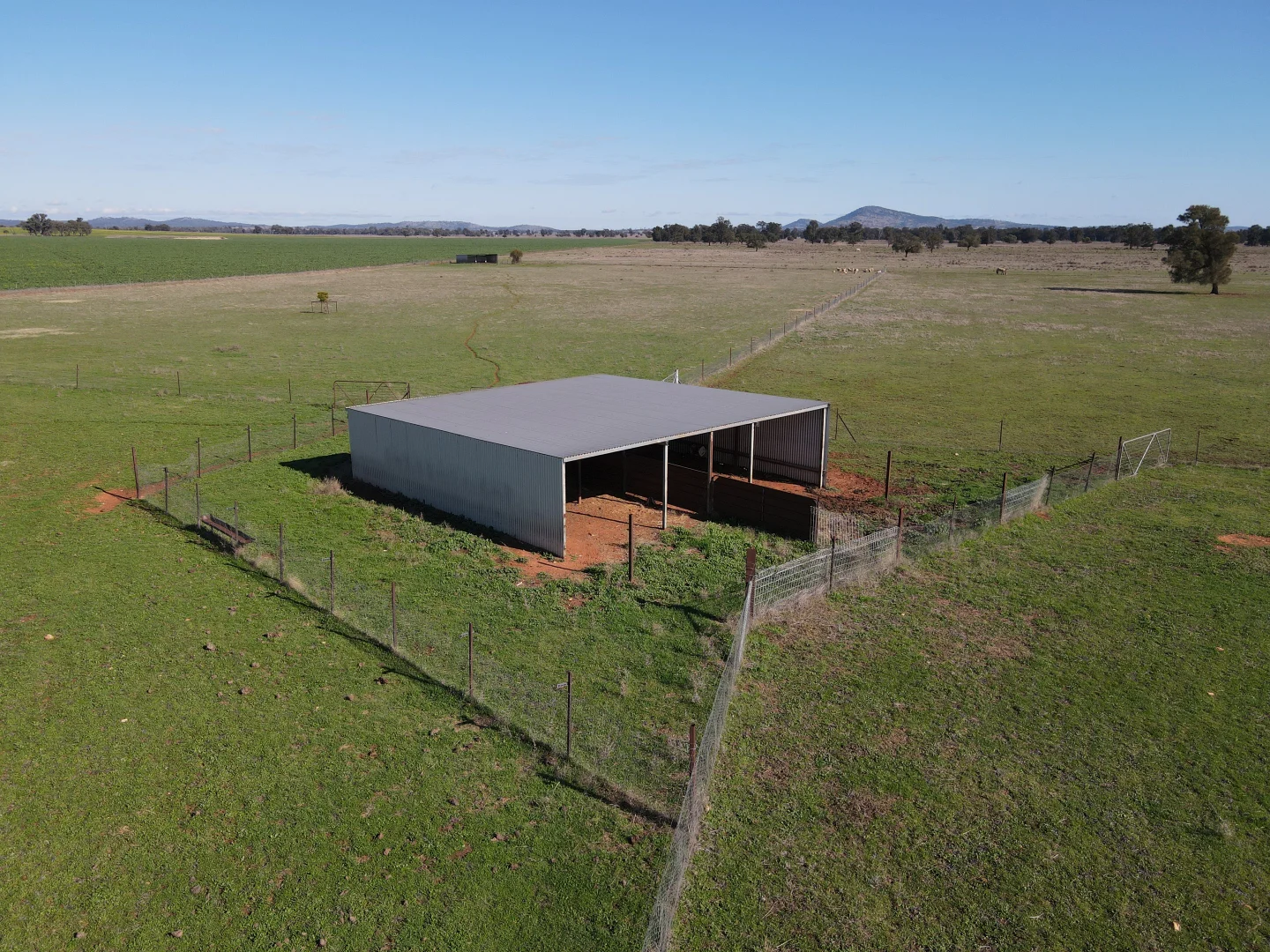 Additional image 4 of Wirrinya Road, Forbes NSW 2871