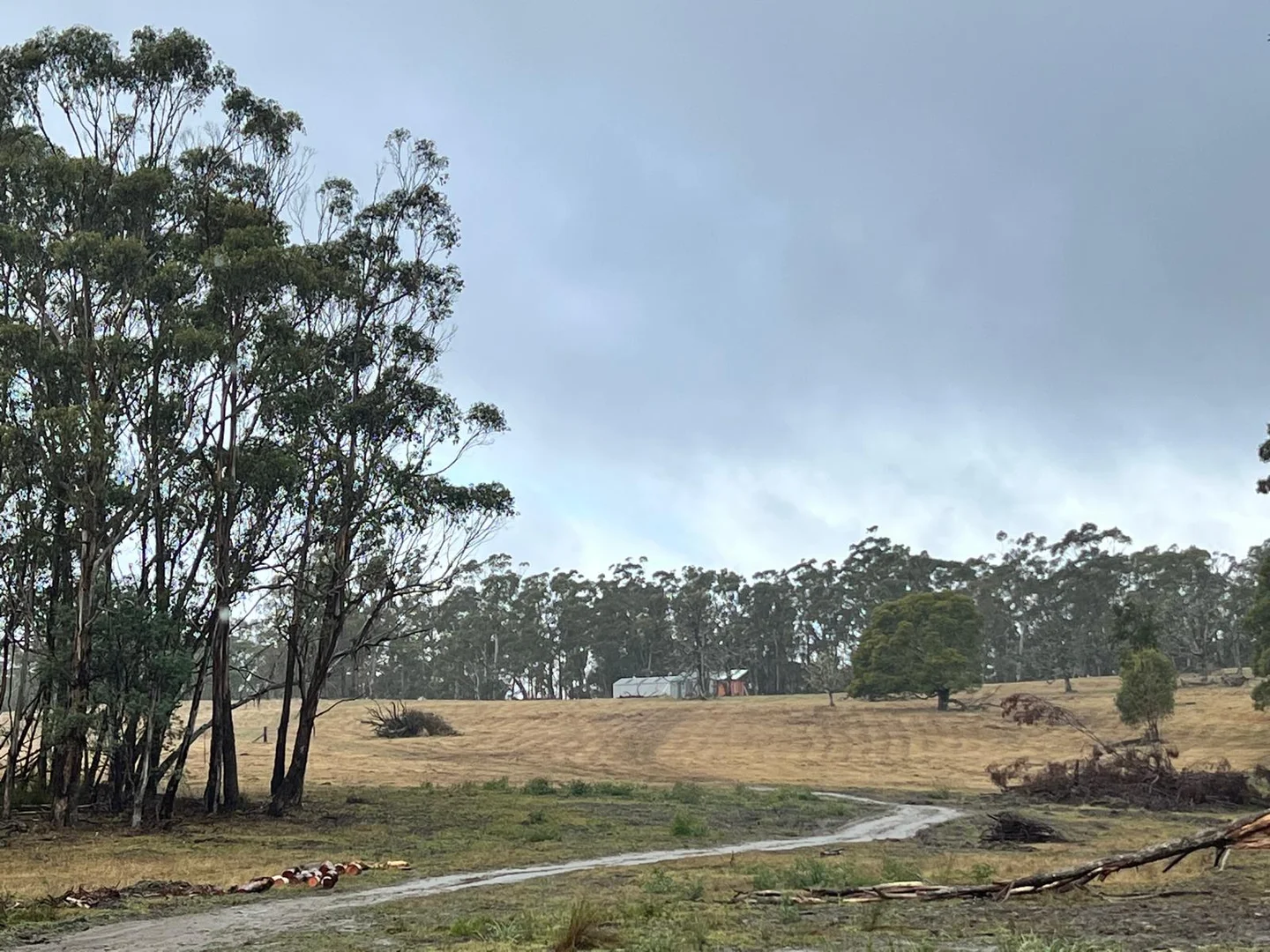 Additional image 7 of Bonang VIC 3888