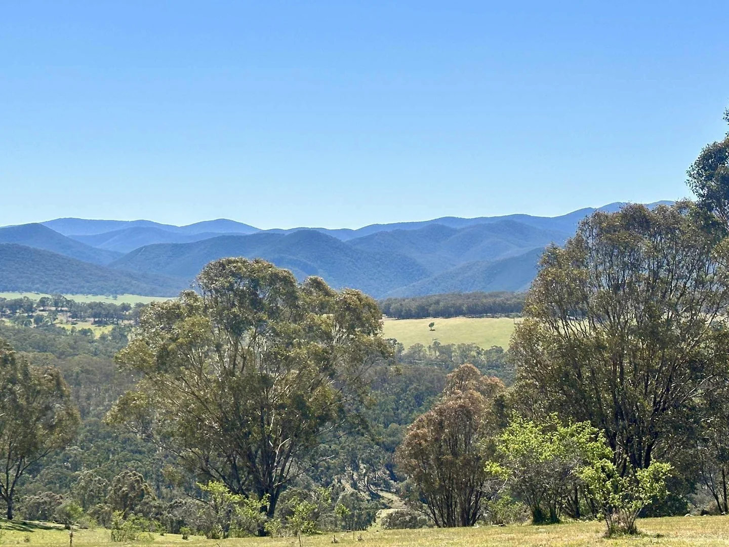 317 Ambyne Road, Deddick Valley VIC 3888