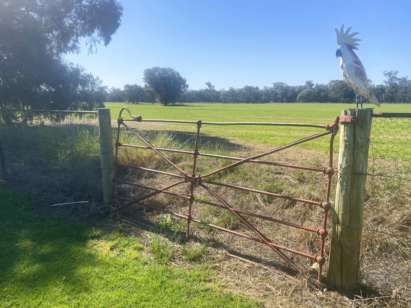 Additional image 27 of "Allandale" 7861 Lachlan Valley Way, Forbes NSW 2871