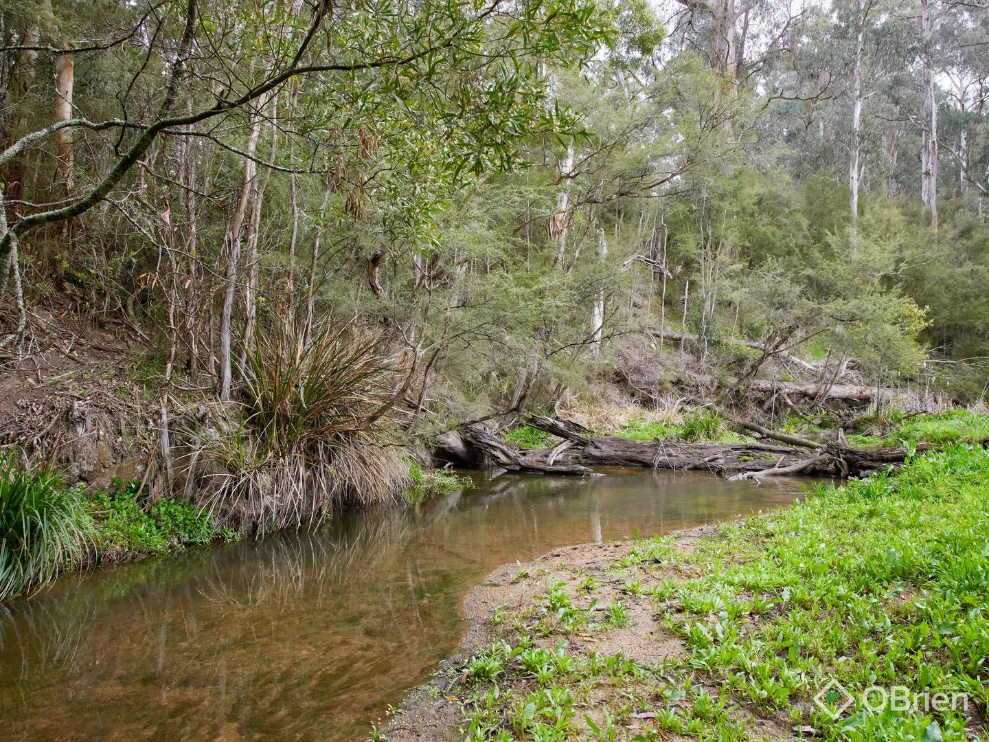 Additional image 20 of 11 Whytes Place, Neerim South VIC 3831