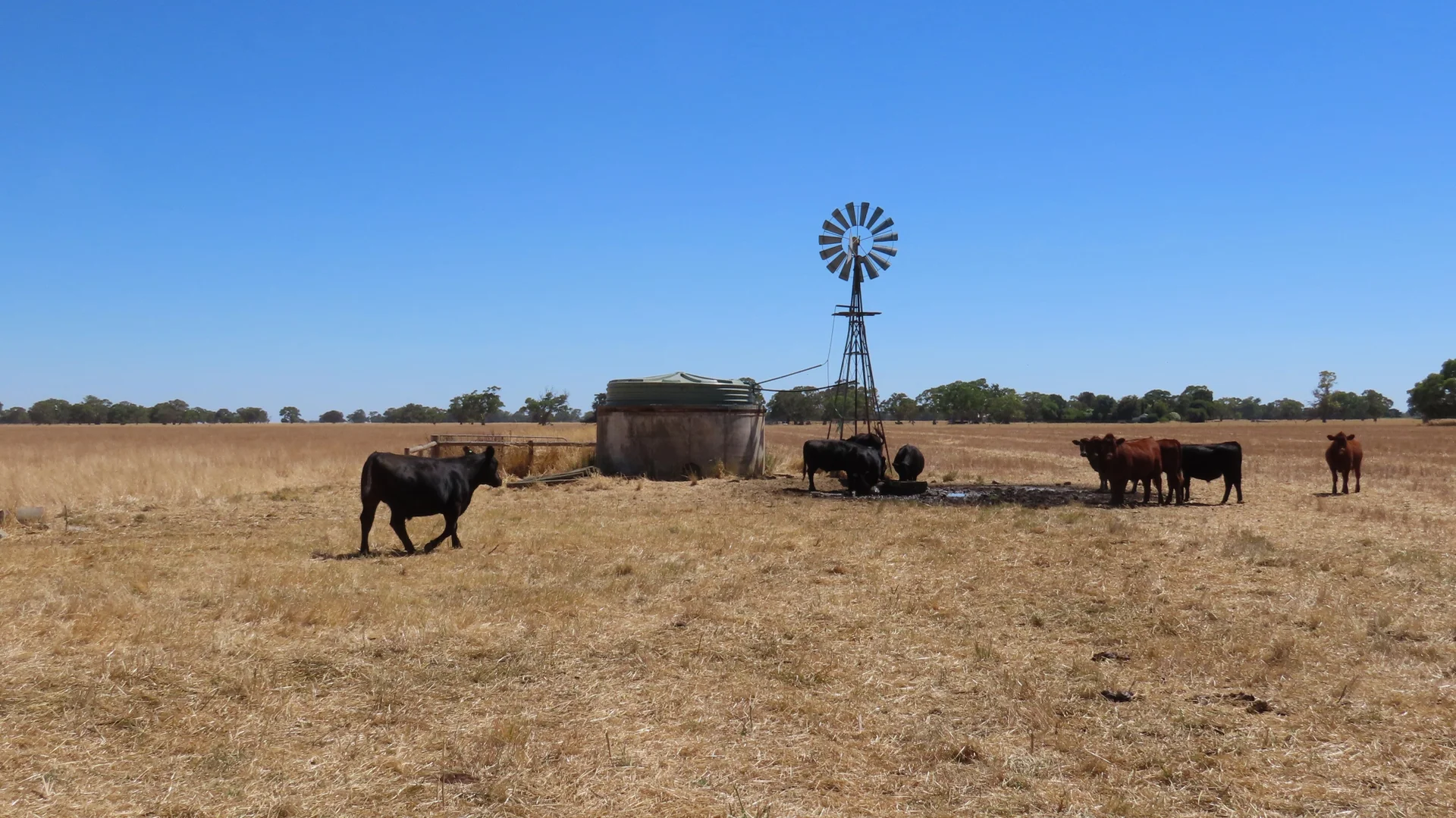 Additional image 17 of 8283 Clay Wells Rd, Penola SA 5277