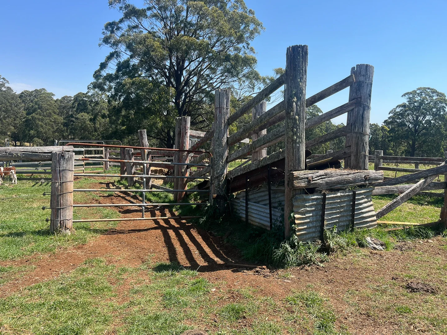 Additional image 21 of 638 Tops Road, Nowendoc NSW 2354