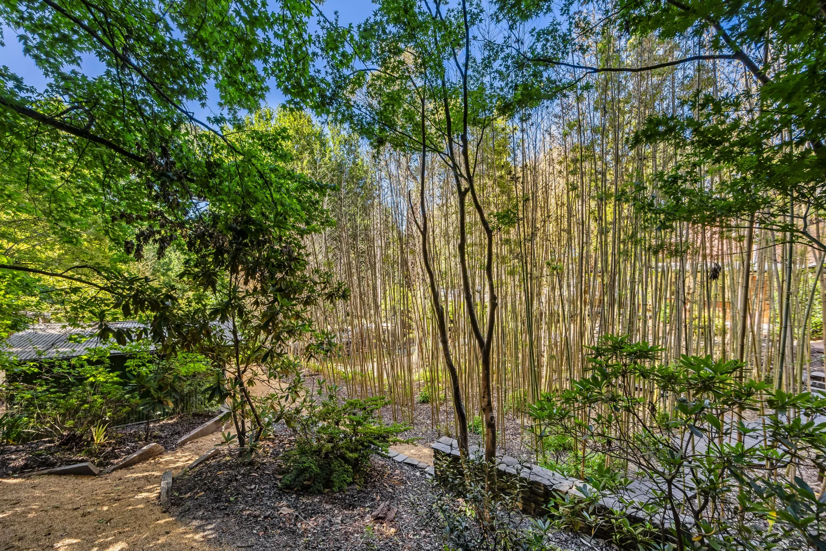 Additional image 61 of 15 Longwood Road, Stirling SA 5152