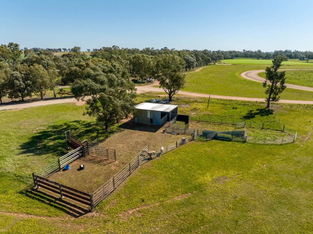 Additional image 22 of 'Bonnie Doone' 9028 Newell Highway, Mirrool NSW 2665