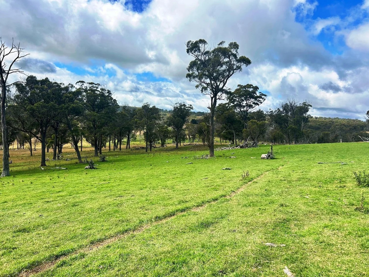 Additional image 5 of 1815 Hillview Road, Uralla NSW 2358