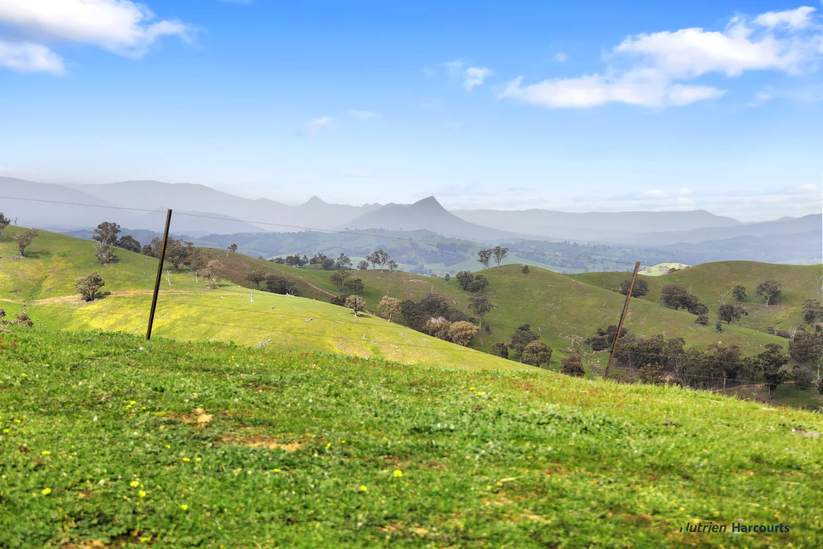 Additional image 16 of 53 Halls Outlet Road, Alexandra VIC 3714