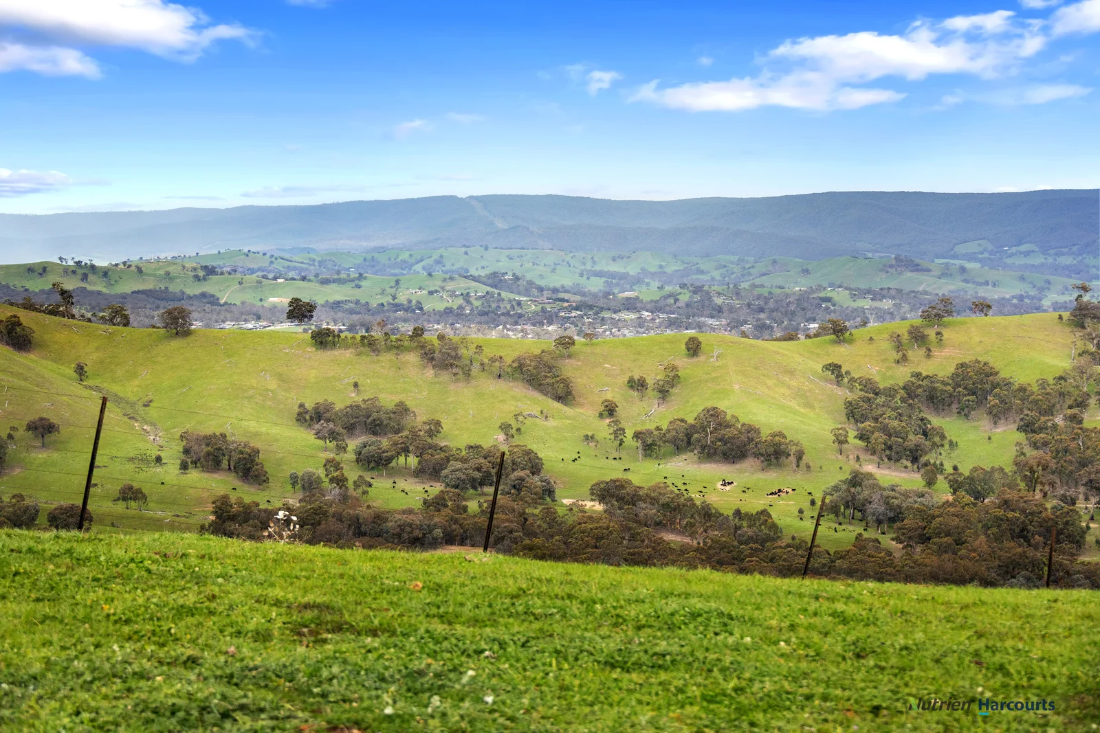 Additional image 15 of 53 Halls Outlet Road, Alexandra VIC 3714