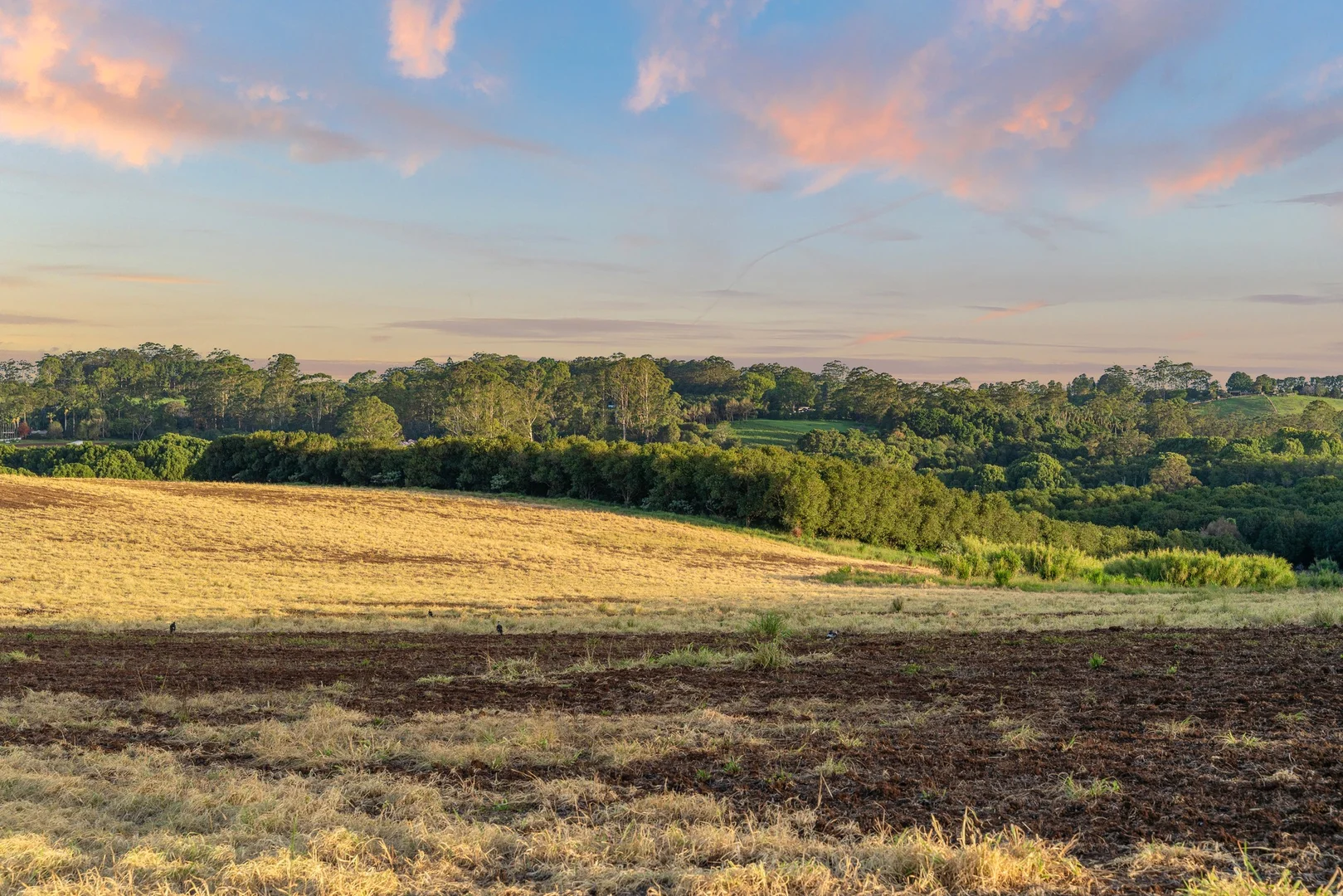 Additional image 15 of 36B Brooklet Road, Newrybar NSW 2479