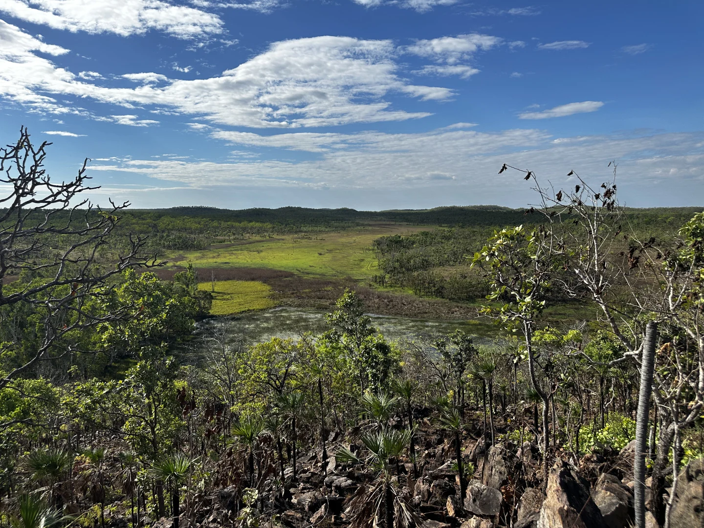 Additional image 10 of Darwin River NT 0841