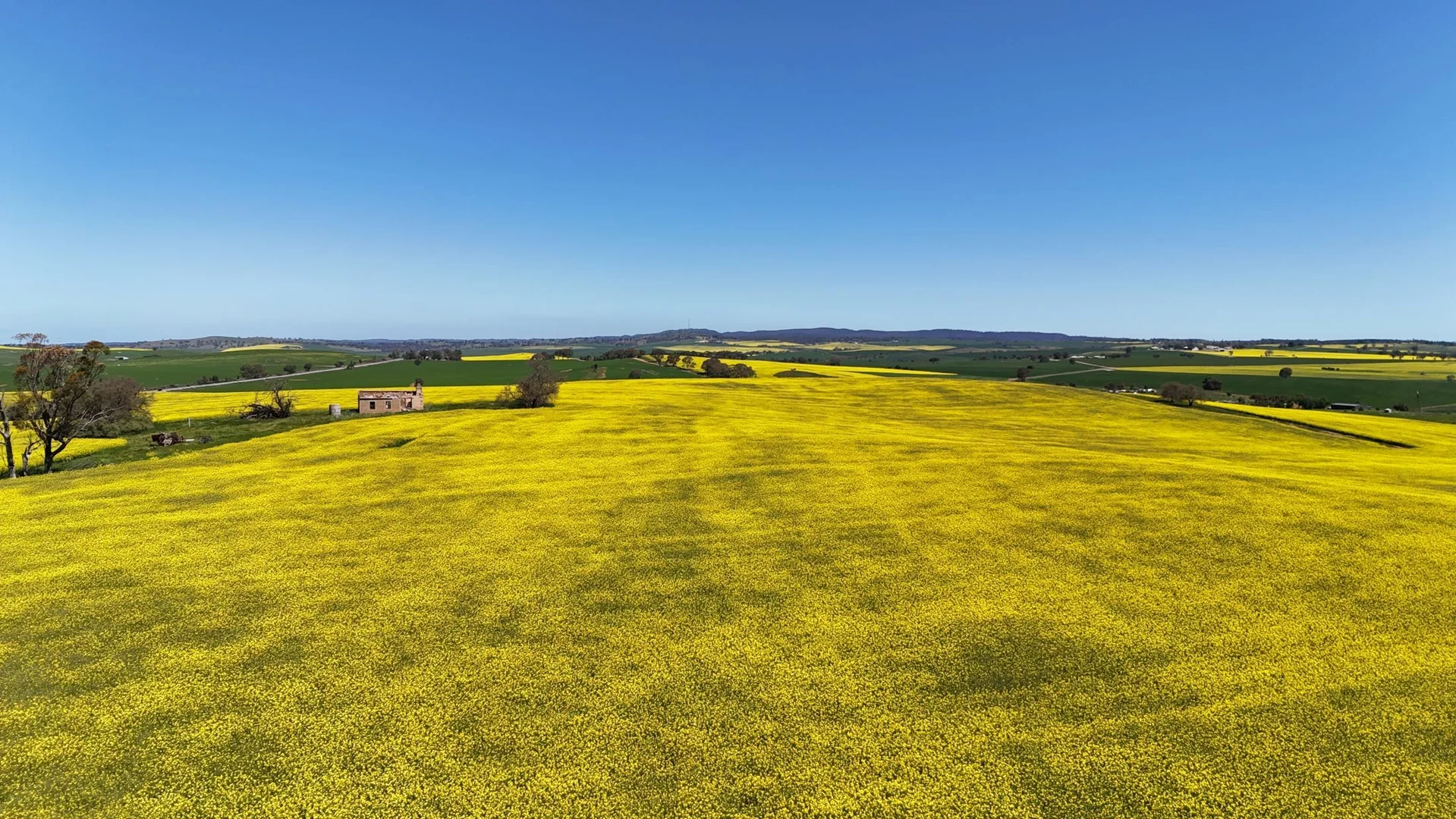 Additional image 14 of 'Ryans' Archie Road, Murray Town SA 5481