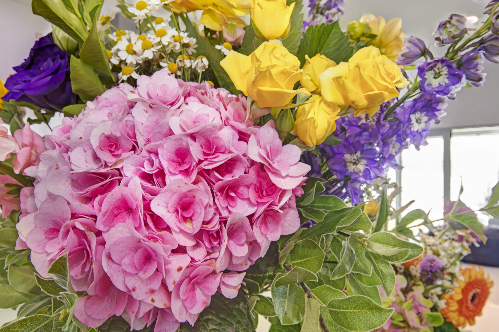 Additional image 41 of 3 Poyntz Street, Thevenard SA 5690