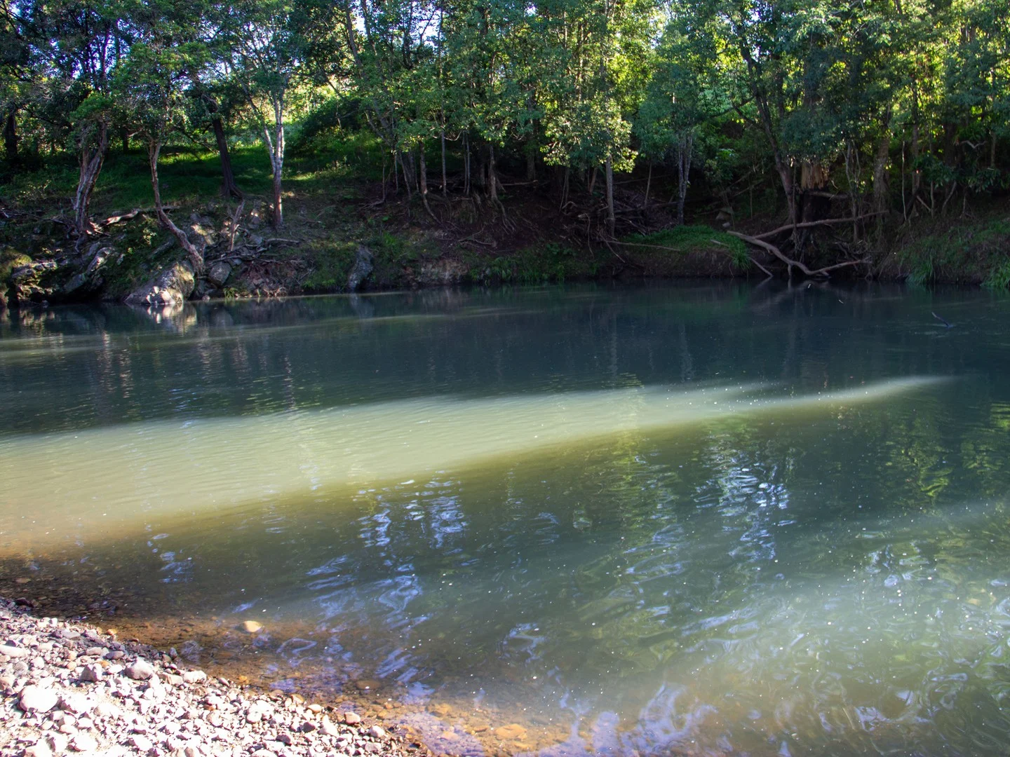 400 Chilcotts Road, Chillingham NSW 2484