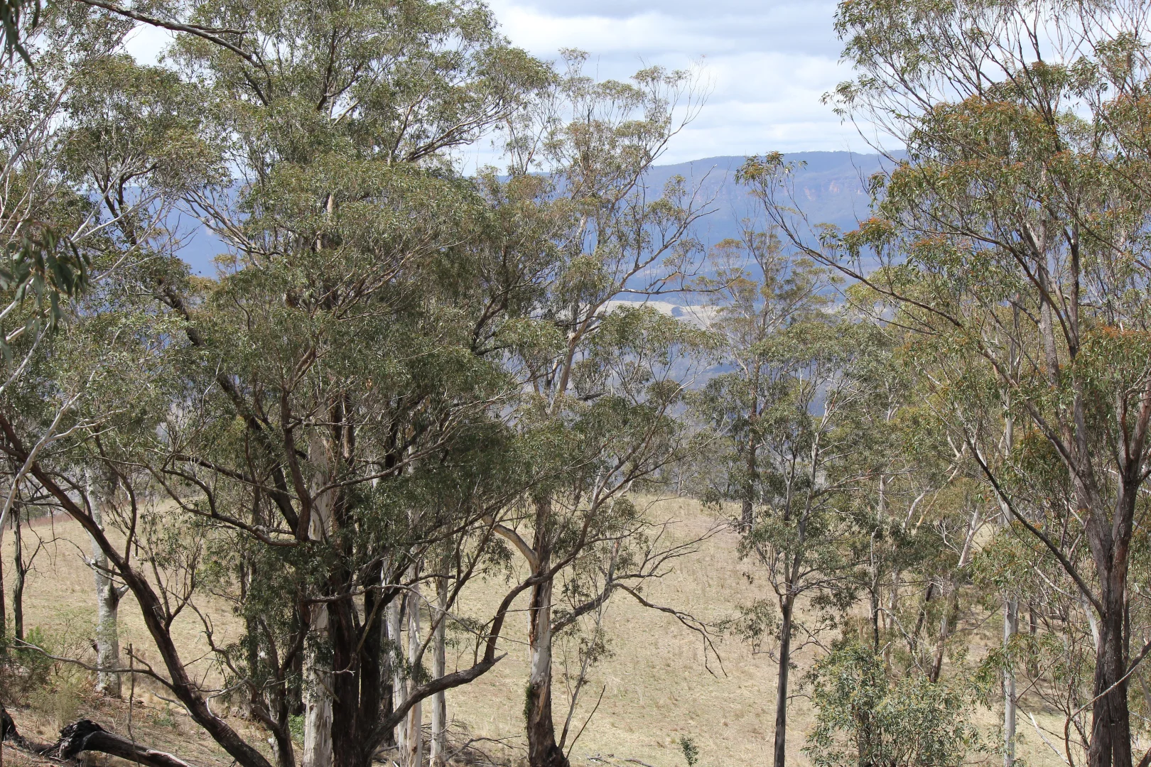 Additional image 12 of Lot 51 Glen Chee Road, Kanimbla NSW 2790