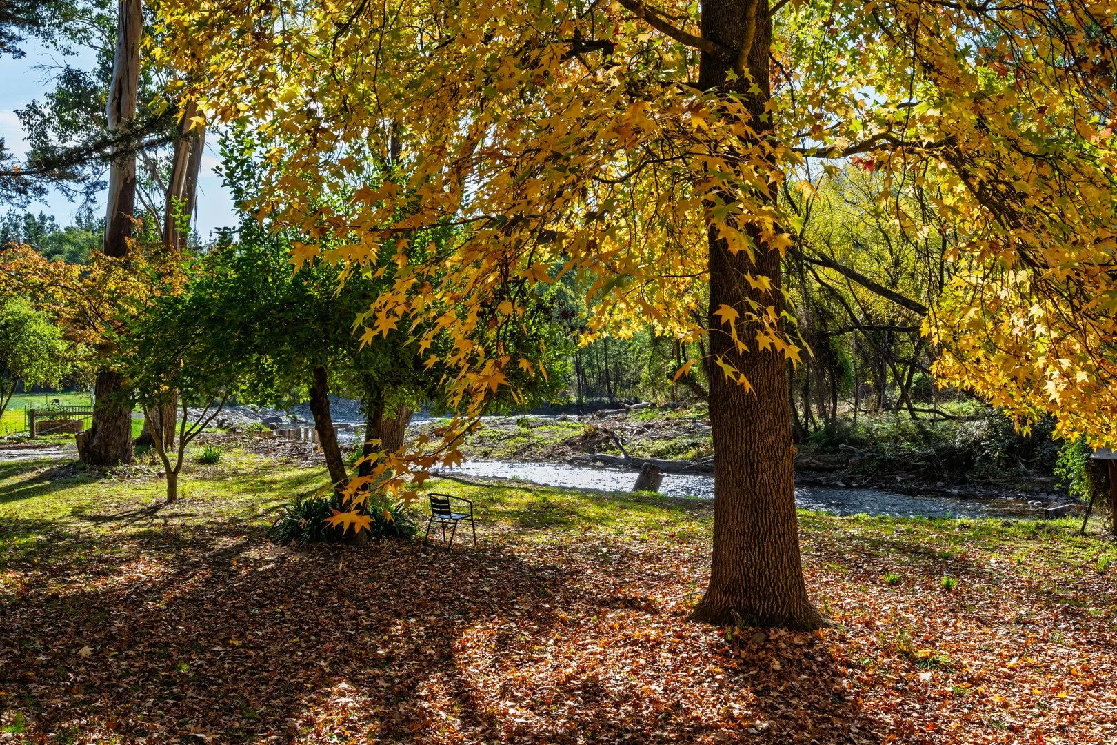 Additional image 2 of 839 Great Alpine Road, Freeburgh VIC 3741