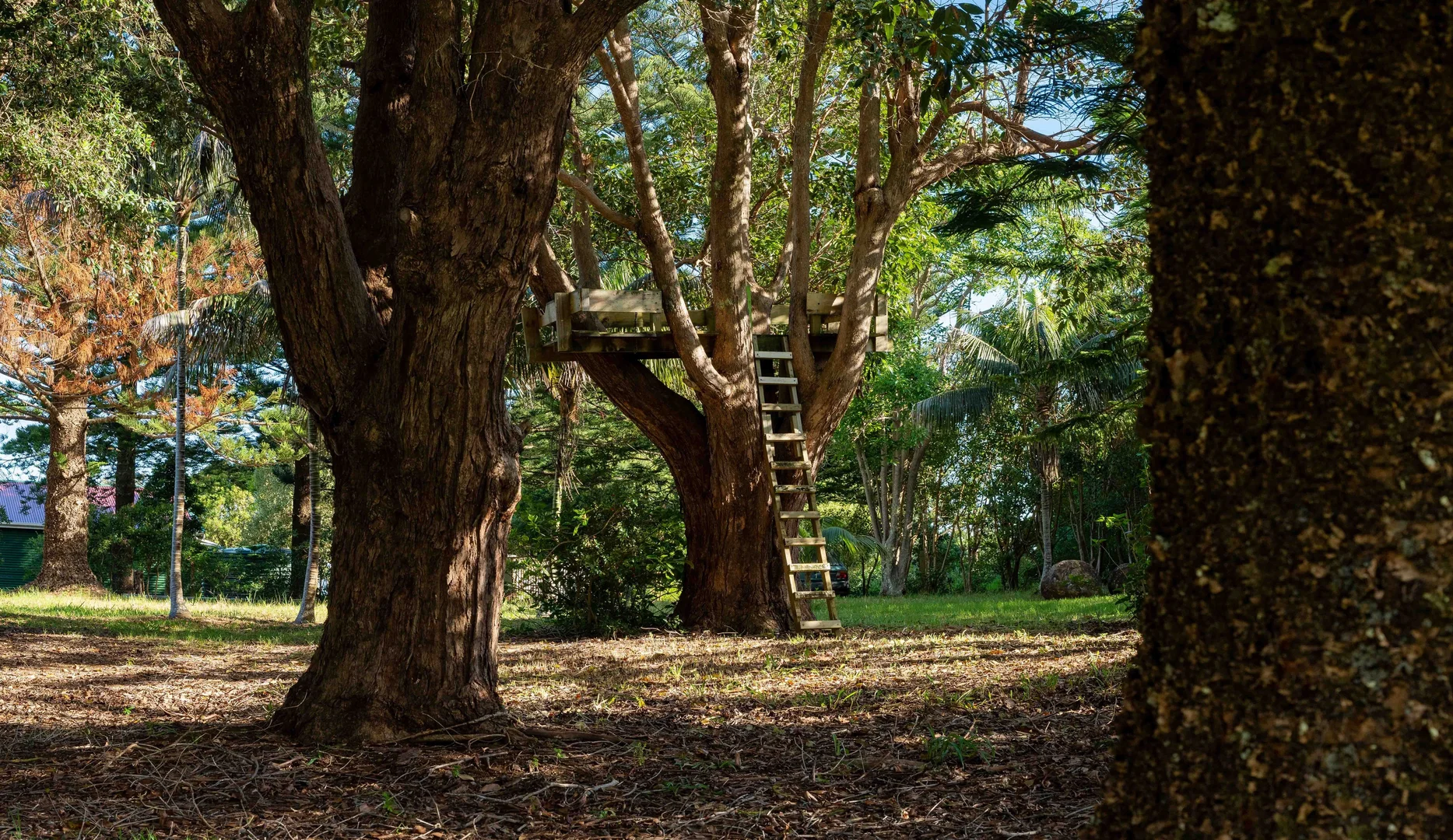 Additional image 30 of 37 Rooty Hill Road, Norfolk Island NSW 2899