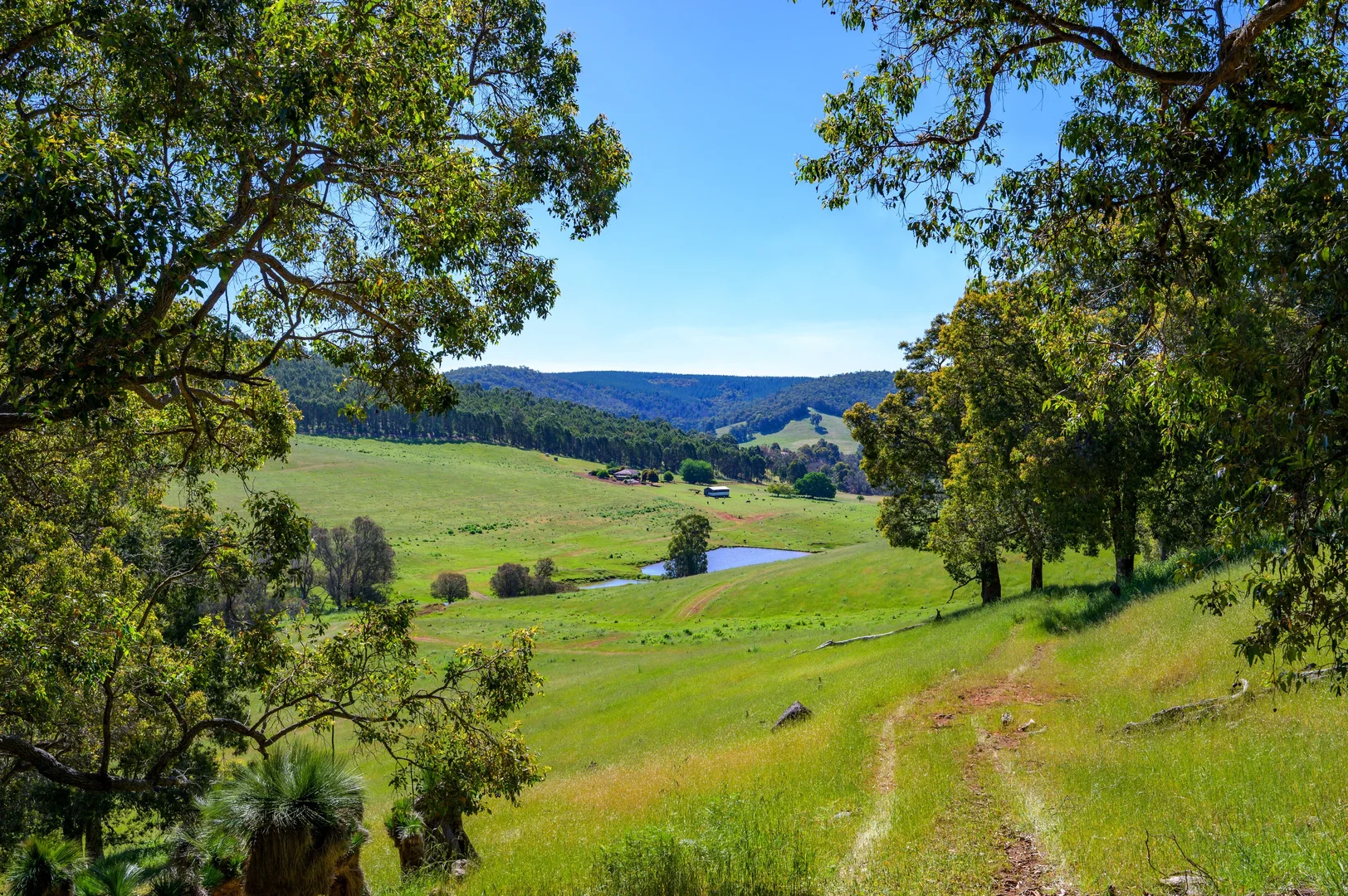 Additional image 6 of 305 & Lot 8138 Balingup-Nannup Road, Balingup WA 6253