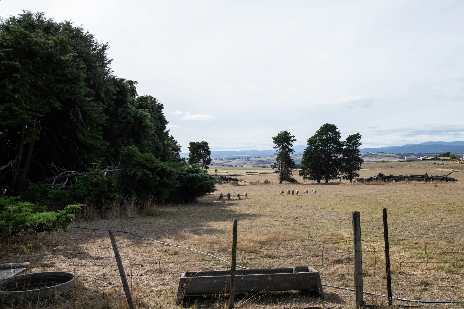 Additional image 6 of 924 White Hills Road, Evandale TAS 7212