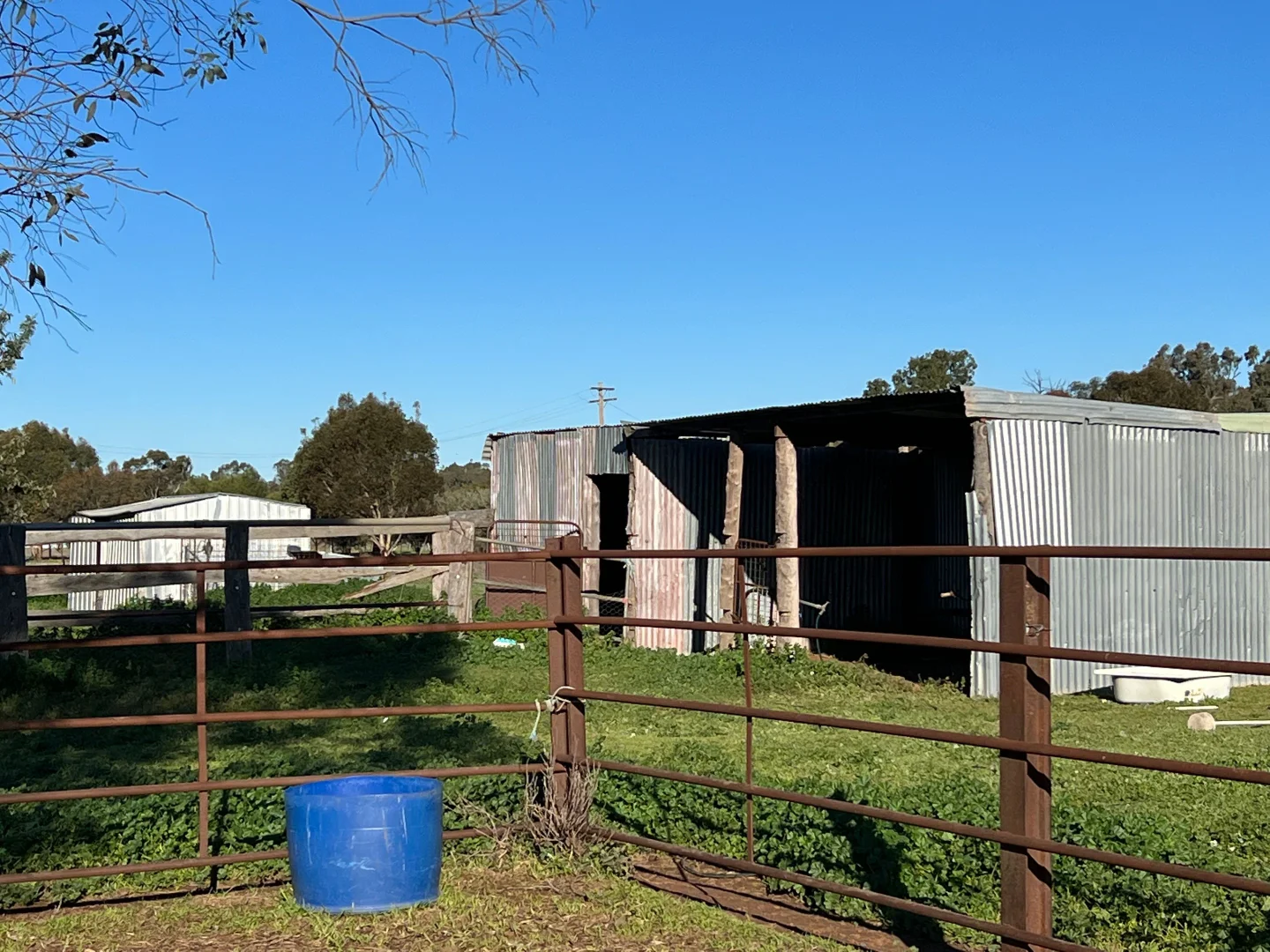 Additional image 12 of 22-24 Bidgee Street, Wagga Wagga NSW 2650