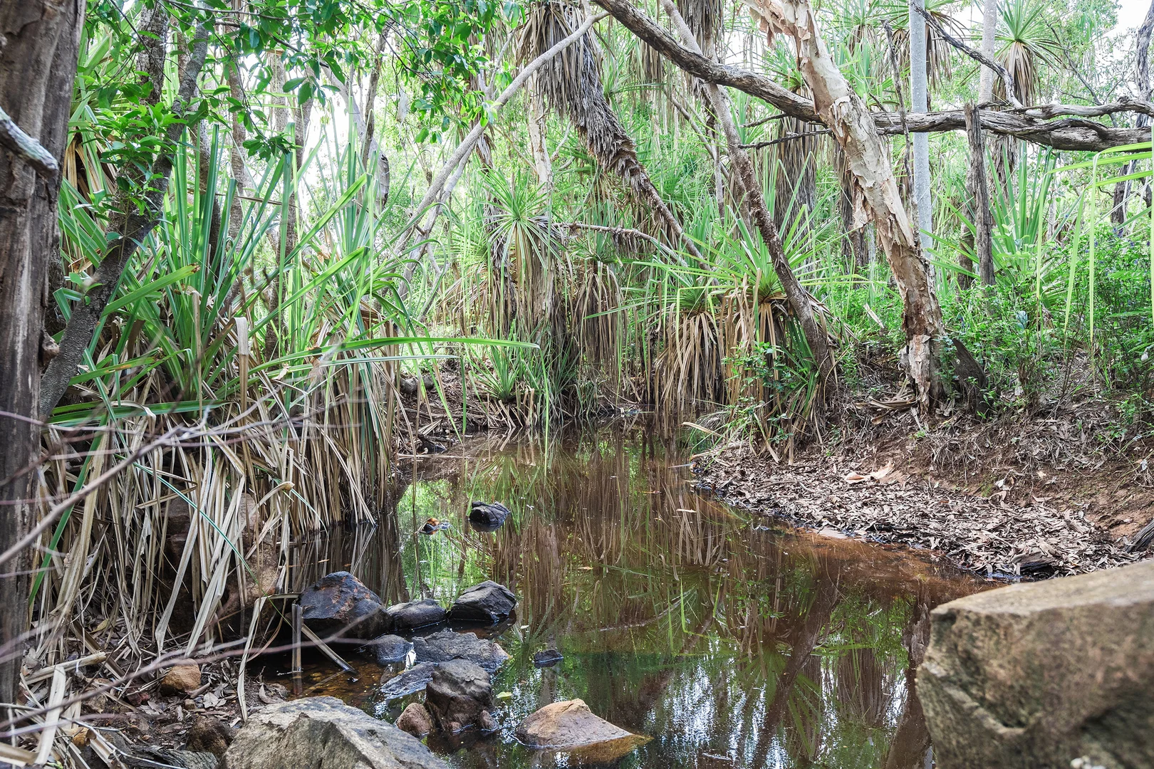 Additional image 14 of 56 Dowling Rd, Virginia NT 0834