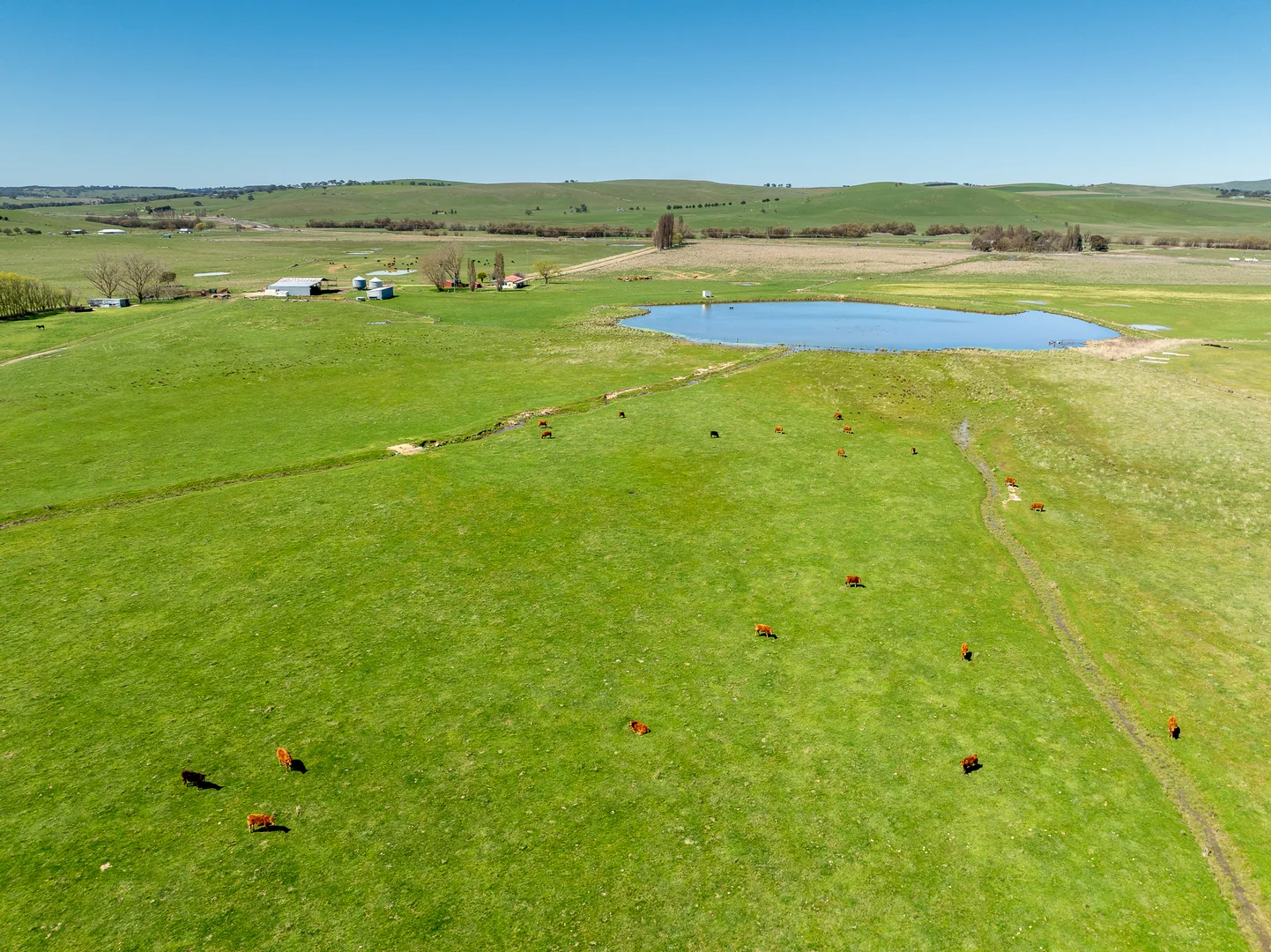 Additional image 3 of 3580 Mid Western Highway, Blayney NSW 2799