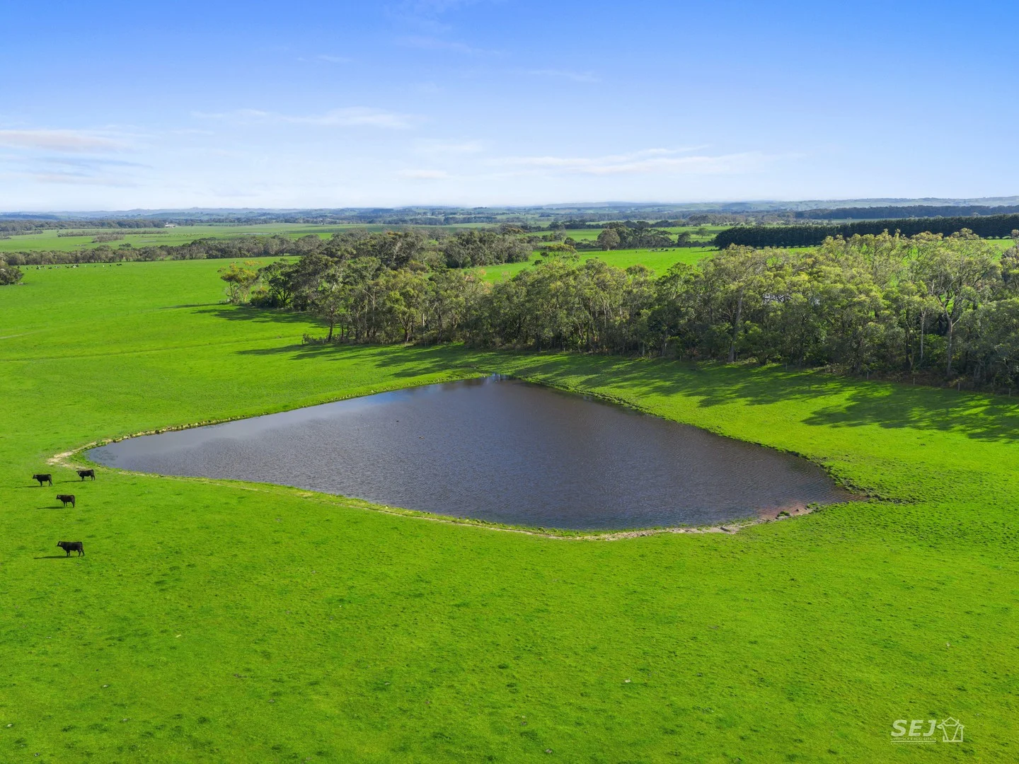 115 Buffalo-Stony Creek Road, Buffalo VIC 3958