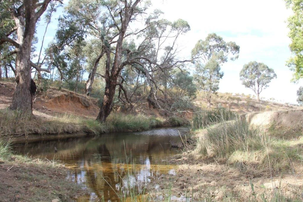 Additional image 5 of 2137 Kiowarrah Road, Bevendale NSW 2581