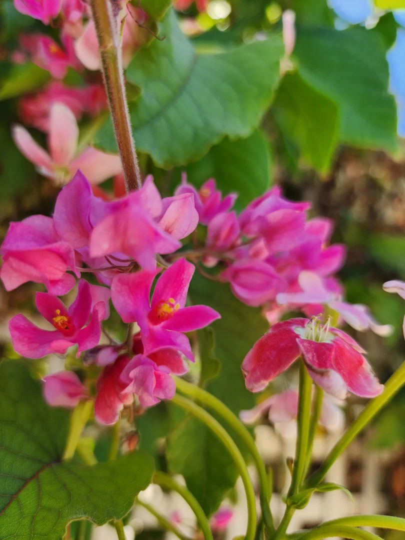 Additional image 16 of 27 Richards Street, Carnarvon WA 6701